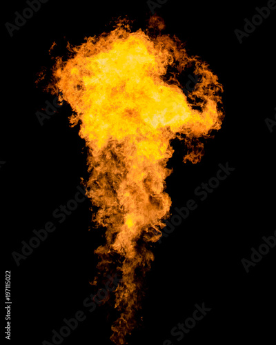 Flame tongue goes from gas burner. Isolated fire texture.
