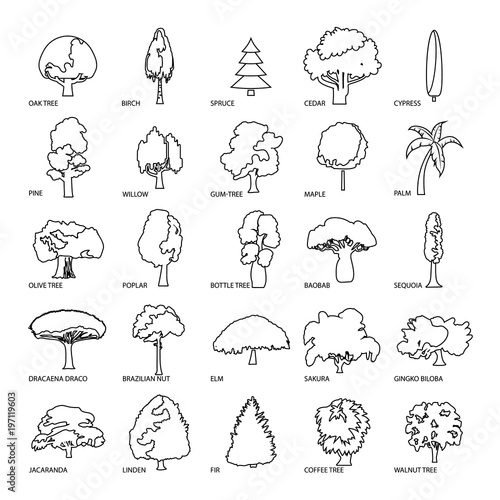 Tree types icons set, outline style