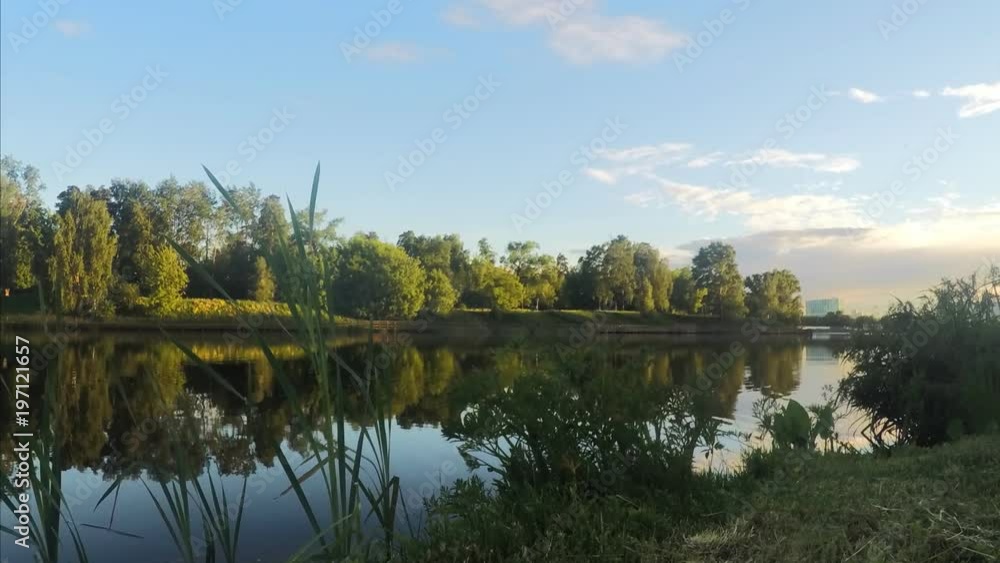 green grass on the shore of the pond timelapse green grass on the shore of the pond timelapse