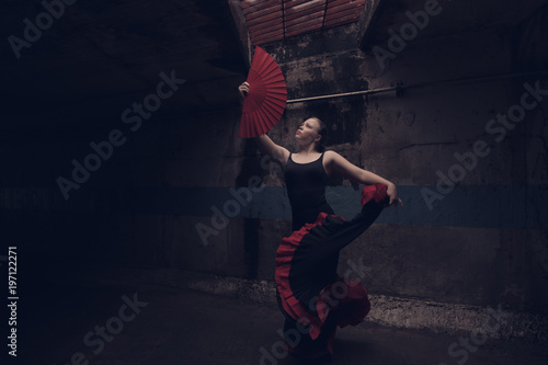 Wallpaper Mural Young beautiful flamenco dancing, street dance concept Torontodigital.ca