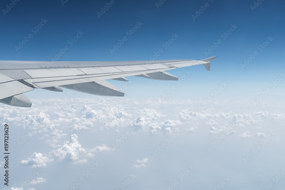 Fototapeta premium airplane wing in the sky