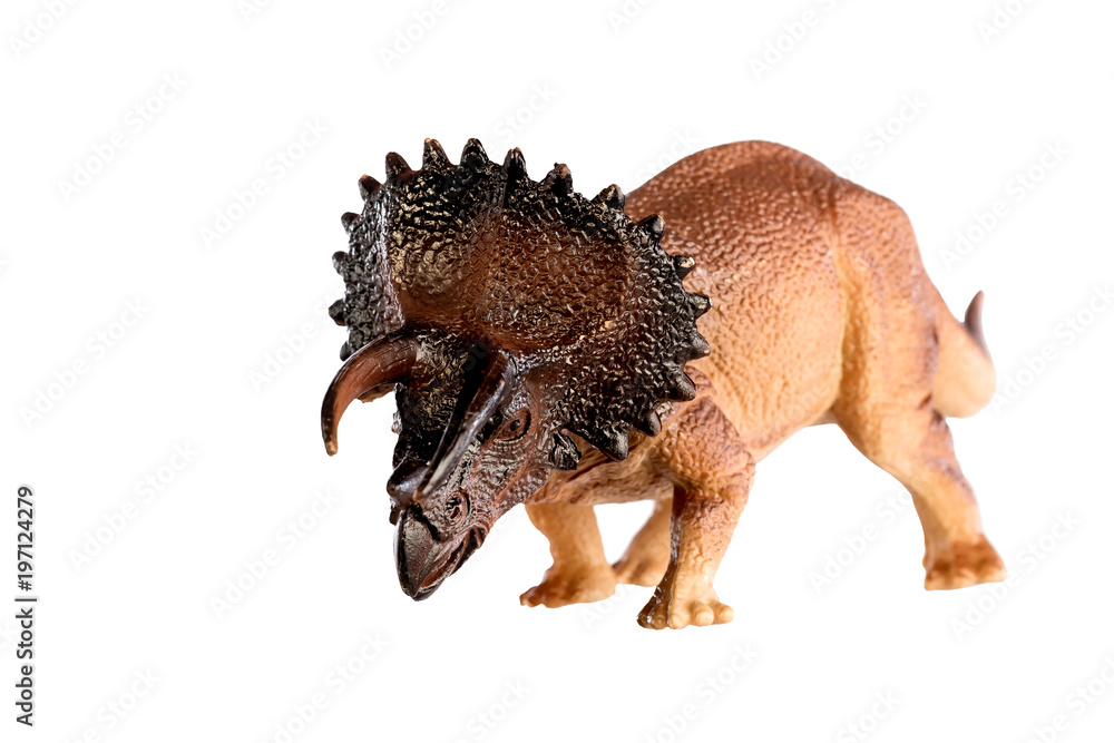 Obraz premium Dinosaur triceratops and monster model Isolated white background