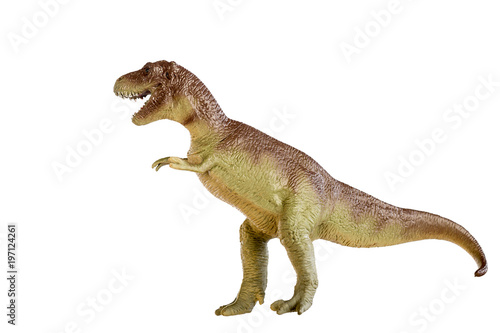 Dinosaur tyrannosaurus and monster model Isolated white background © suwatwongkham