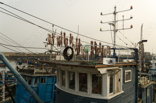 dried fish - china