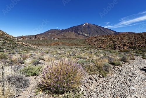 Teneriffa - Teide Nationalpark Wanderweg photo