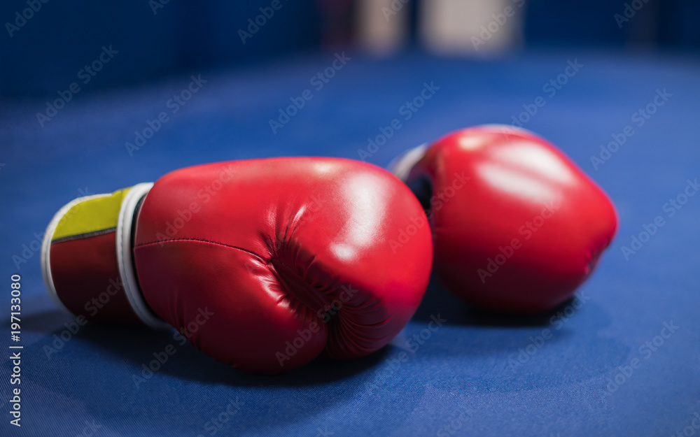 Boxing gloves are on the blue floor of the ring. Horizontal photo. .