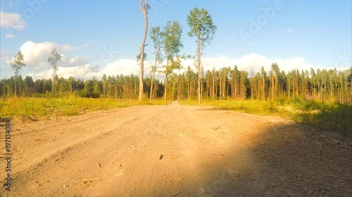 trees near the road in a field timelapse