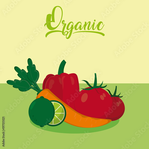 Organic vegetables cartoon