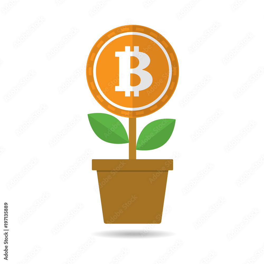 Bitcoins flower concept of virtual money online funding and making