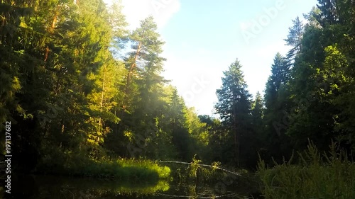 white clouds over a river in the forest timelapse