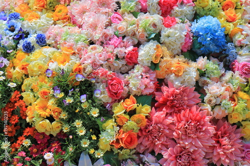 Colourful flower bed background