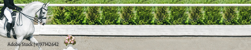 Dressage horse and rider in uniform during dressage competition. Horizontal photo banner for equestrian website header design. Copy space for your text. 