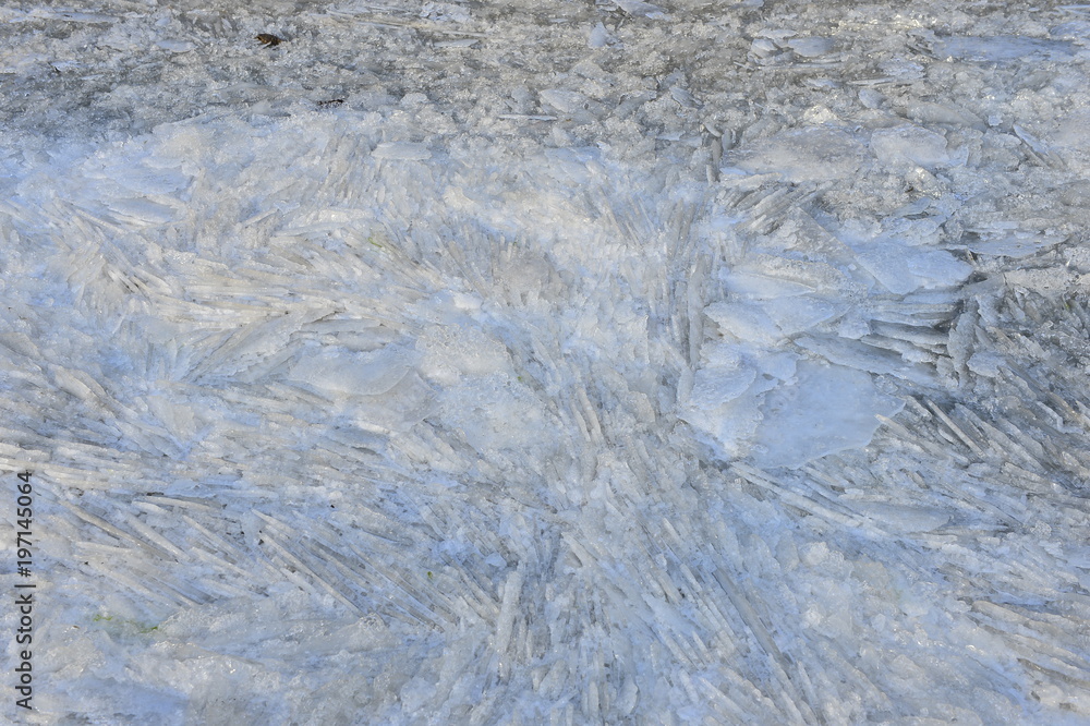 On winter sea ice On winter sea ice