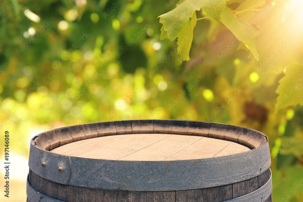 Image of old oak wine barrel in front of wine yard landscape. Useful for product display montage.