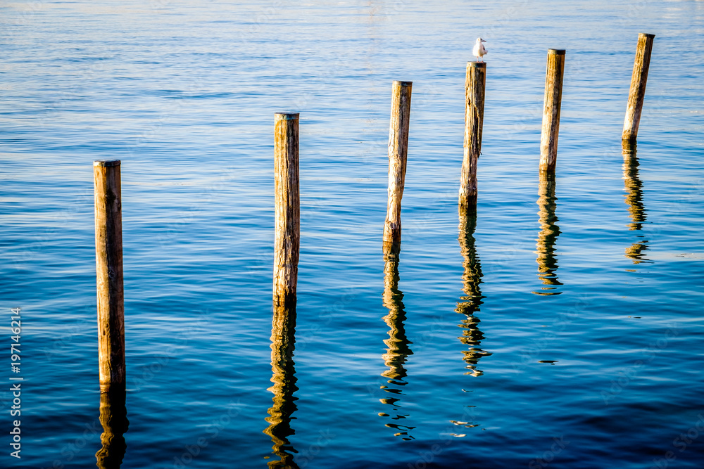 bollards at a lake bollards at a lake