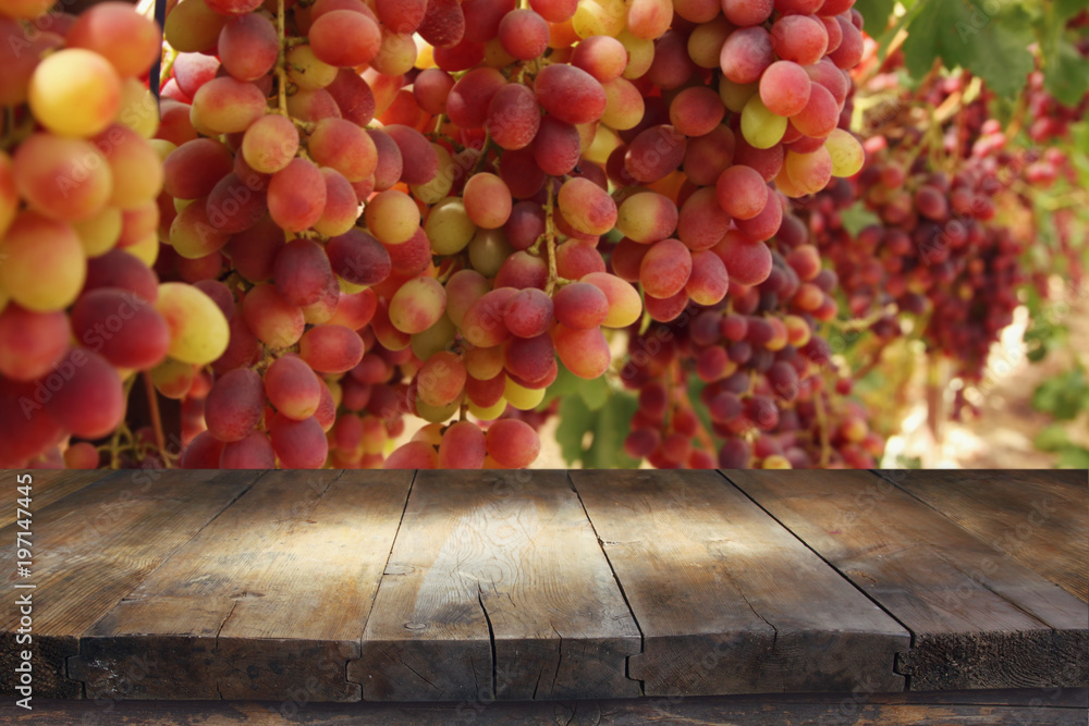 Image of wooden table in front of blurred vineyard landscape. Ready for product display montage. Image of wooden table in front of blurred vineyard landscape. Ready for product display montage.