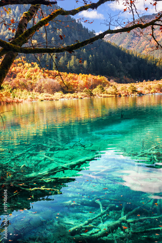 Scenic submerged tree trunks on bottom of lake with azure water photo