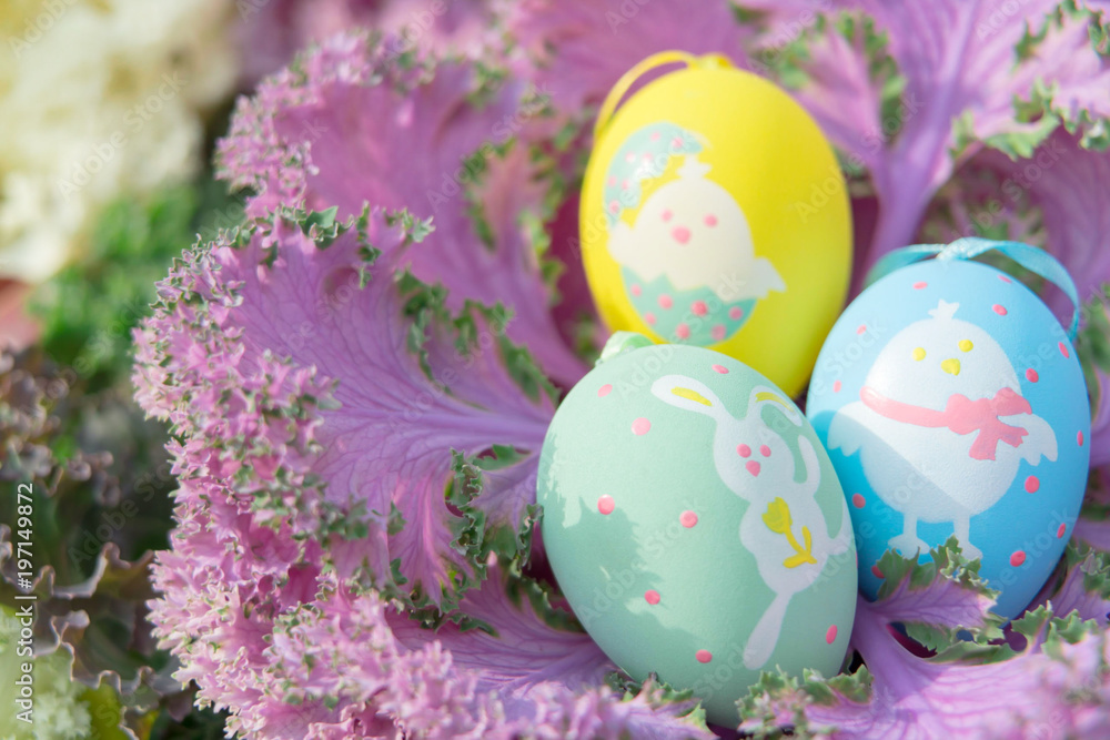 Fototapeta premium colorful easter eggs standing on the purple cabbage, ready for the egg hunter traditional