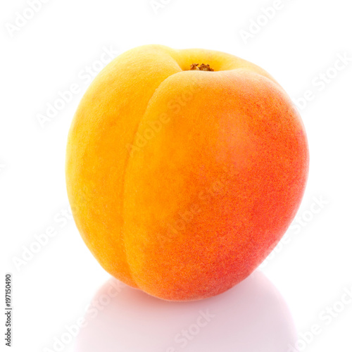 One peach on white background.