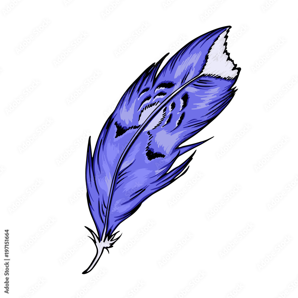 Cute blue feather isolated on white background. Cartoon ink sketch. Hand  drawn vector illustration. Stock Vector | Adobe Stock