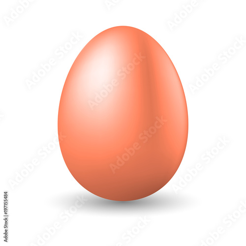 Realistic brown egg