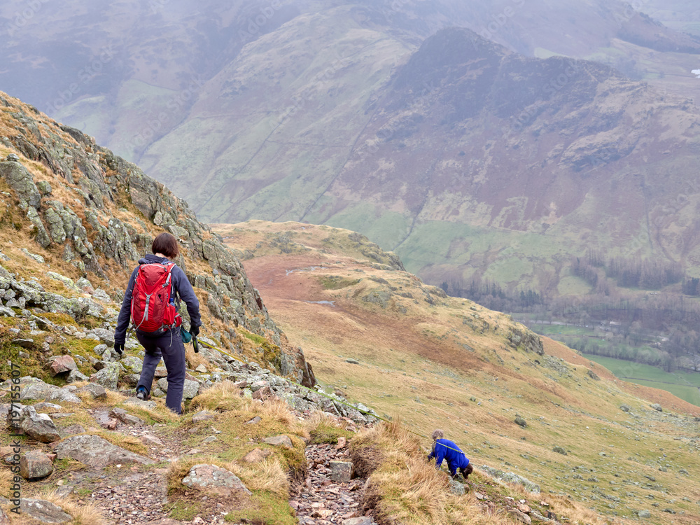 A hiker and their dog walking in the mountains of the English Lake District.