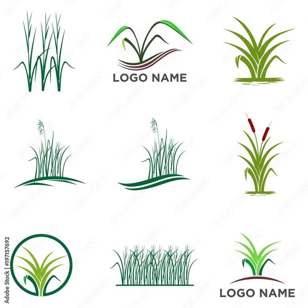 Tree logo set,People logo set,green eco logo,Vector logo template
