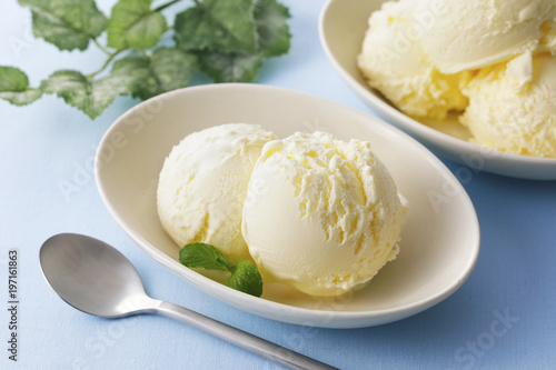 アイスクリーム Vanilla ice cream