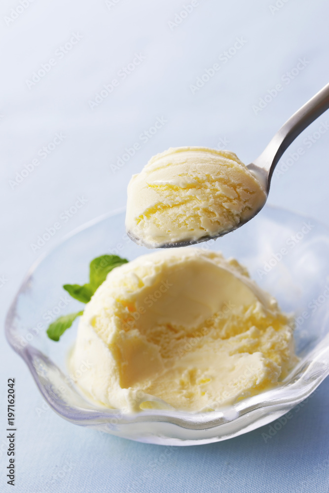 アイスクリーム Vanilla ice cream アイスクリーム Vanilla ice cream