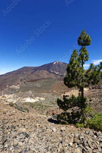 Teneriffa - Teide Nationalpark Wanderweg photo