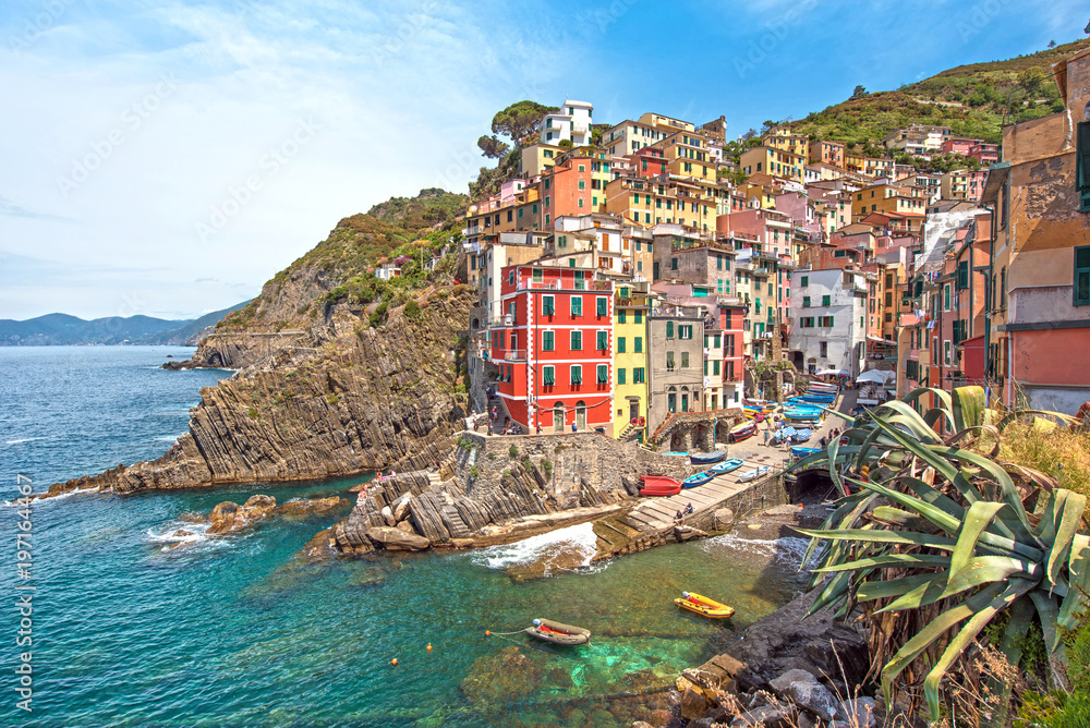 Incredible landscape in Riomaggiore with leaves of agave in Cinque Terre, Liguria, Italy, Europe
