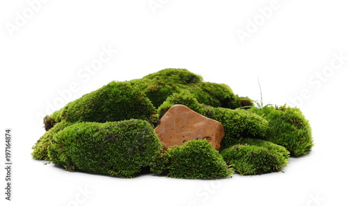 Wallpaper Mural Green moss with rock isolated on white background Torontodigital.ca