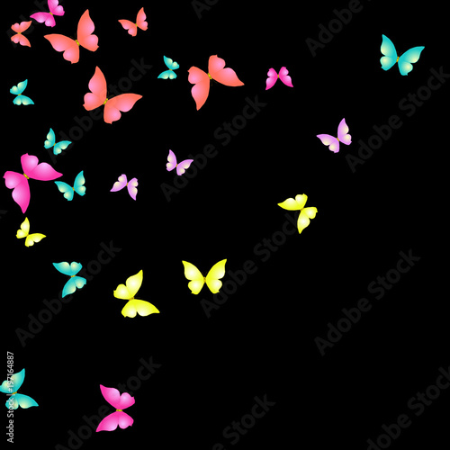 Summer Background with Colorful Butterflies. Simple Feminine Pattern for Card  Invitation  Print. Trendy Decoration with Beautiful Butterfly Silhouettes. Vector Background with Moth