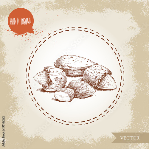 Hand drawn sketch almond nuts. Peeled nuts and nut in nutshell. Group organic superfood isolated on old looking background. Vector illustration.