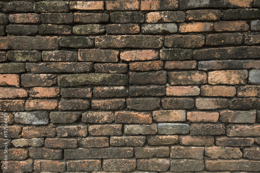 Fototapeta premium Brick Wall Texture