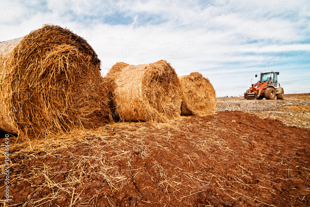 kleiner bagger mit gabel aufsatz Stock Photo | Adobe Stock