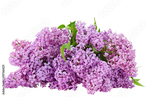 lilac flower on old wooden background