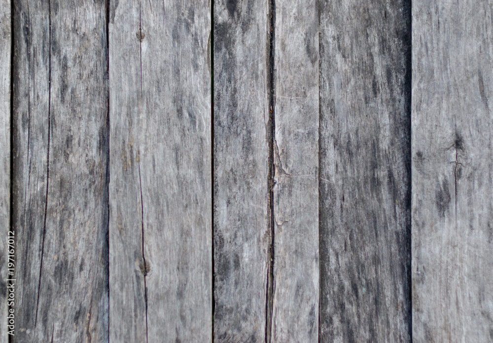 grey wood texture. background old panels grey wood texture. background old panels