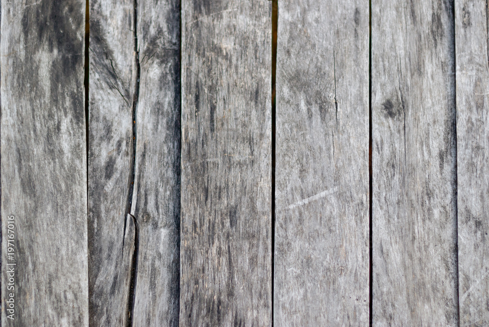 Fototapeta premium grey wood texture. background old panels