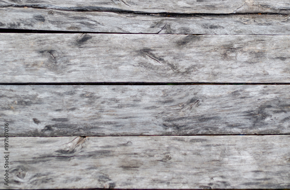 grey wood texture. background old panels grey wood texture. background old panels