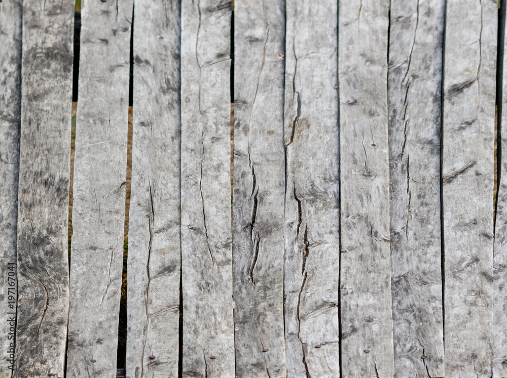 Fototapeta premium grey wood texture. background old panels