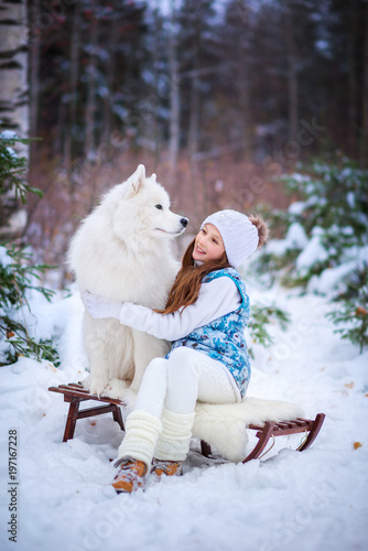 Девочка с собакой породы самоед на санках в зимнем парке