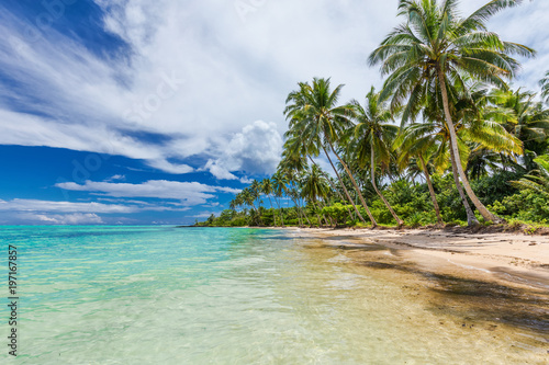 Wild beach with palm trees on south side of Upolu, Samoa Islands