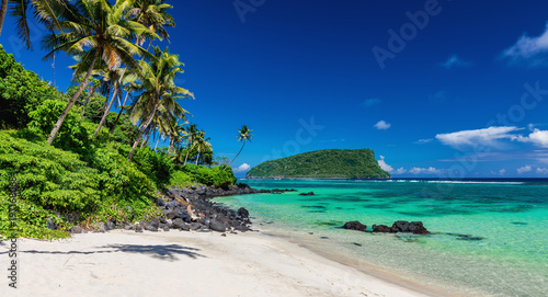 Vibrant tropical Lalomanu beach on Samoa Island with coconut palm trees and rocks © Martin Valigursky