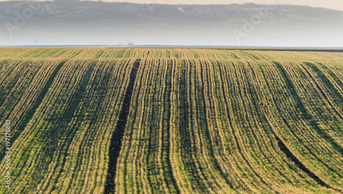 Agricultural landscape, arable crop fields