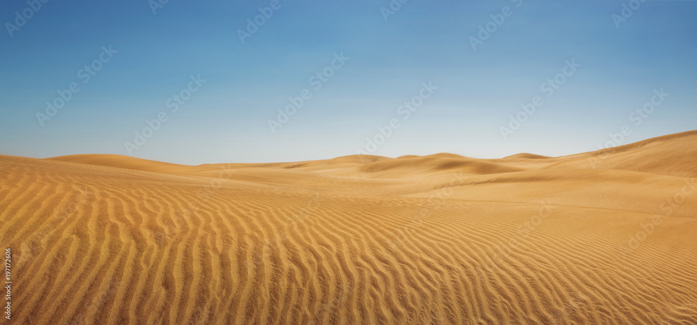 Dunes at empty desert, panoramic nature background with copy space - obrazy, fototapety, plakaty 