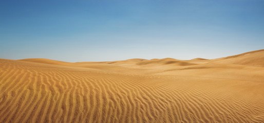 Poster Woestijnlandschap Panoramisch duinlandschap in stille woestijn  © rangizzz