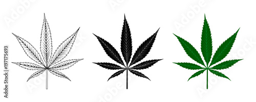 Black and Green Cannabis Leaf . Logo Design photo