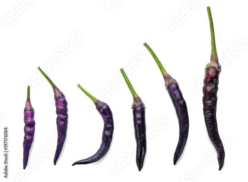 Purple chili on a white background.