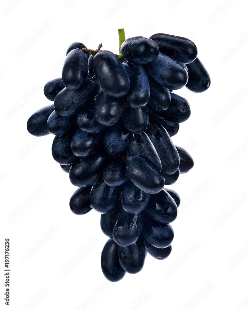 Black grapes isolated on a white background Black grapes isolated on a white background